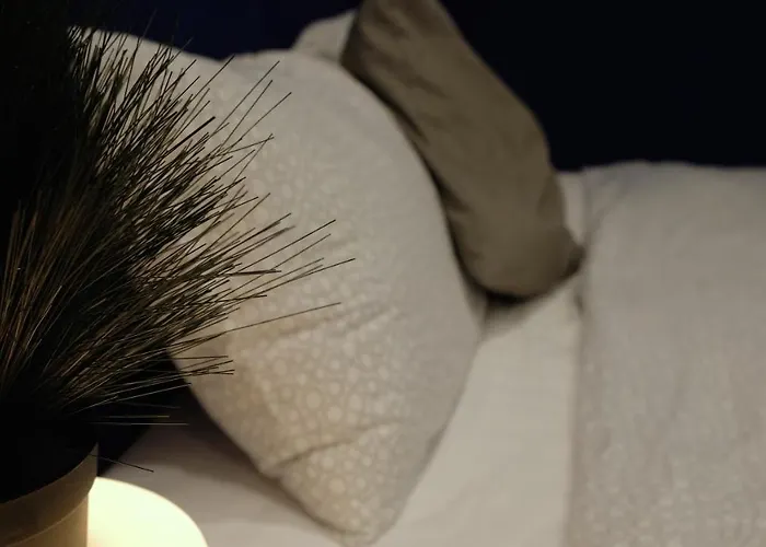 Sleep With Me - Bts Phra Khanong Hotel Bangkok